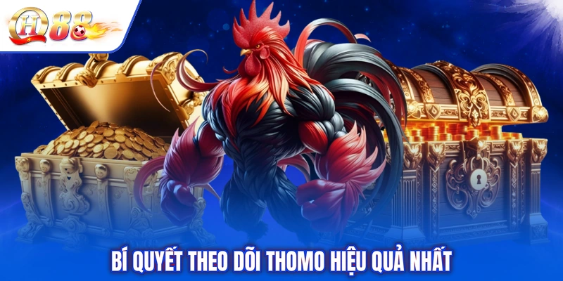 Bí quyết theo dõi Thomo hiệu quả nhất