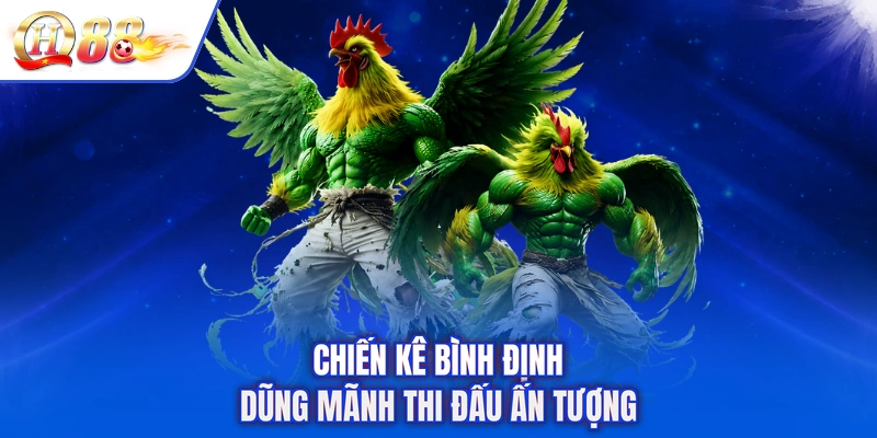 Chiến kê Bình Định dũng mãnh thi đấu ấn tượng