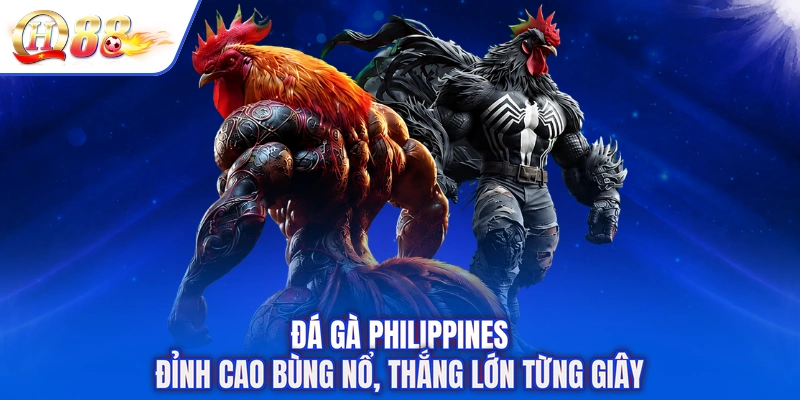 Đá Gà Philippines - Đỉnh Cao Bùng Nổ, Thắng Lớn Từng Giây