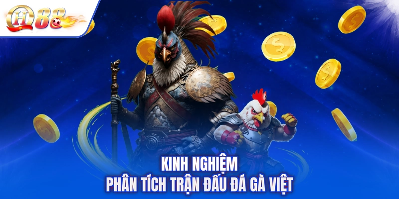 Kinh nghiệm phân tích trận đấu đá gà Việt