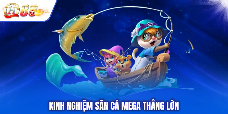 Kinh nghiệm săn cá Mega thắng lớn