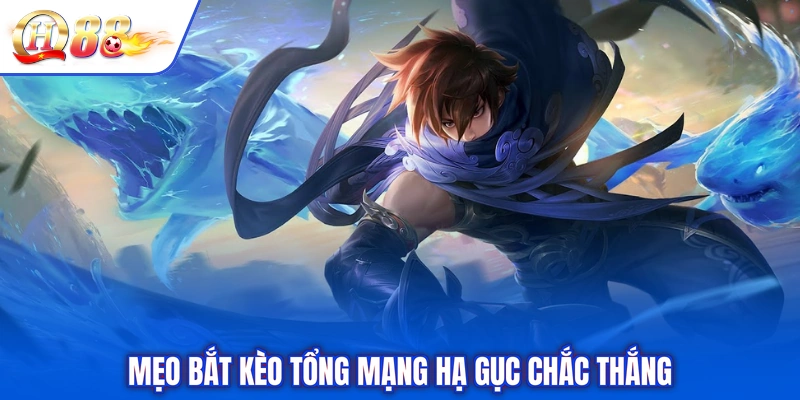 Mẹo bắt kèo tổng mạng hạ gục chắc thắng
