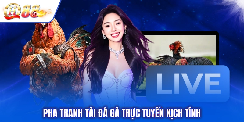 Pha tranh tài đá gà trực tuyến kịch tính